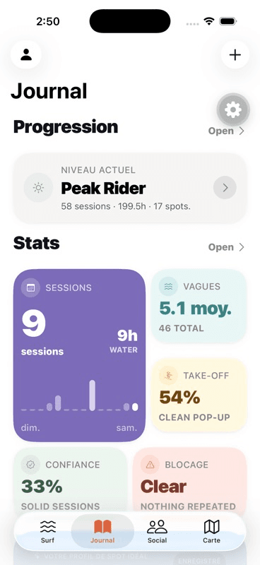 Écran Journal de DailySurf